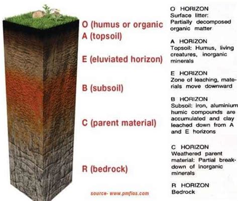 Soil Profile: Meaning, Formation & Layers of Soil | Earth Reminder