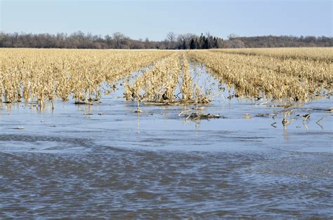 Farmland being flooded by Missouri and Red Rivers in North Dakota image ...