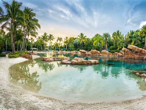 Why Discovery Cove Is Florida S Hidden Romantic Gem Islands