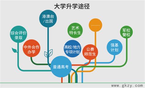 二、全面了解升学路径，科学做好提前批报考