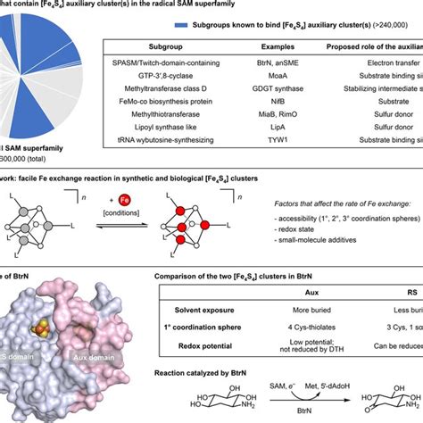 Functions And Properties Of Selected Fe4s4 Clusters A Examples Of Download Scientific