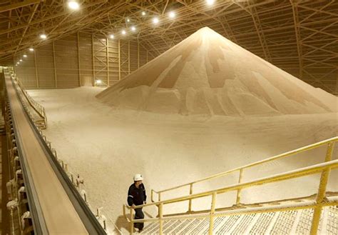 Potash Corp. and Agrium merge, create $36bn fertilizer giant | MINING.com