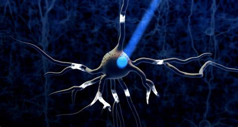 Optogenetics Lighting Up The Secrets Of The Human Brain By Angelyn Joseph Medium