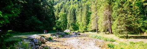 A la découverte des forêts de Chartreuse Site Officiel de la