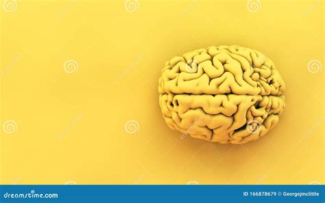 Minimal Yellow Brain Stock Illustration Illustration Of Background