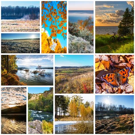 Collage De Las Fotos De La Naturaleza De La Estaci N Del Oto O Foto De