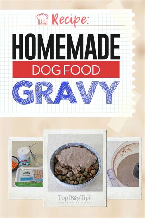 Homemade Dog Food Gravy Recipe (Quick and Easy to Make)