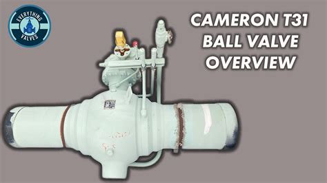 Cameron Globe Valve On Sale Thethaibar Or Th