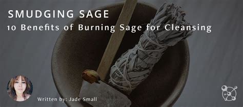 Smudging Sage Benefits Of Burning Sage For Cleansing Artofit