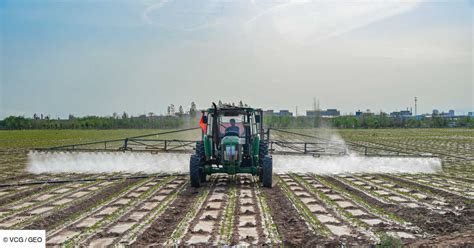 Projet De Loi Agricole Comment Produire Avec Moins De Contraintes