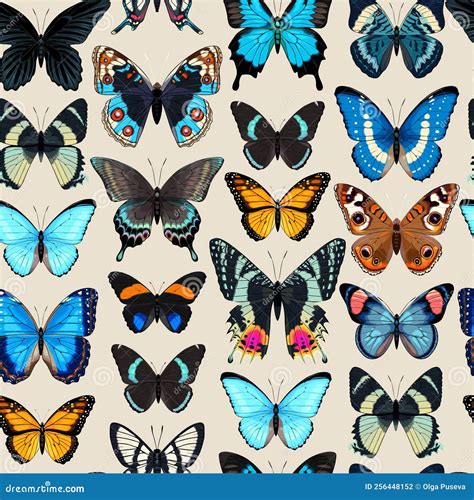 Vector Pattern With High Detailed Tropic Butterfly Stock Photo Image