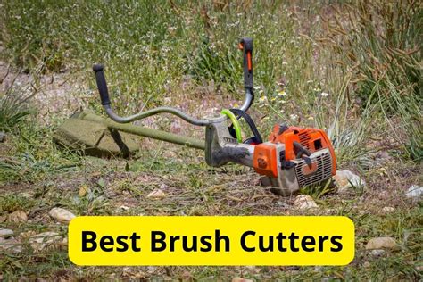 Best Brush Cutters Of Reviews Lawnstarter