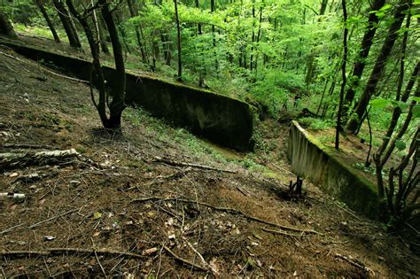 Reportage Photographique Argonne Association Nationale