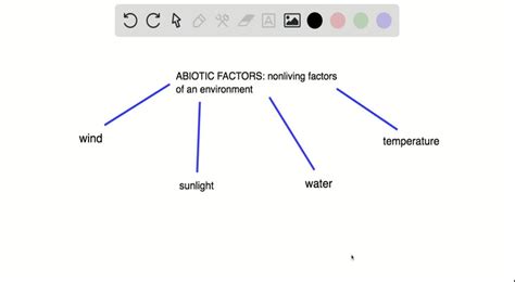 SOLVED:Describe two abiotic factors that affect your environment.