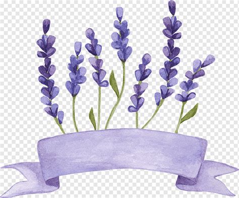 Lavender Lavender Flowers Watercolor Png PNGWing