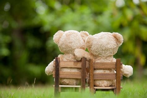 Premium Photo Lovely Brown Two Teddy Bear Sit On Wooden Chair