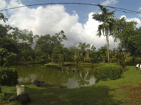 Puerto Viejo de Sarapiqui, Costa Rica: All You Must Know Before You Go ...