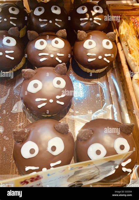 Cat Cupcakes On Display In A Bakery In Sapporo Japan Stock Photo Alamy