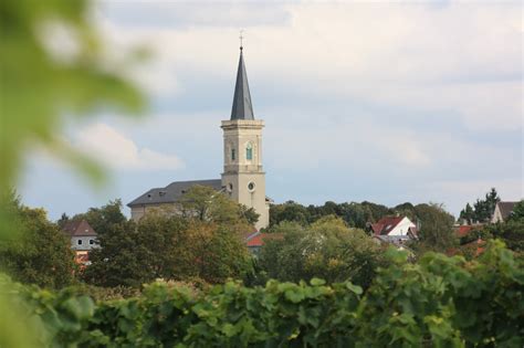 Weingut Weber Bodenheim Weinprobe