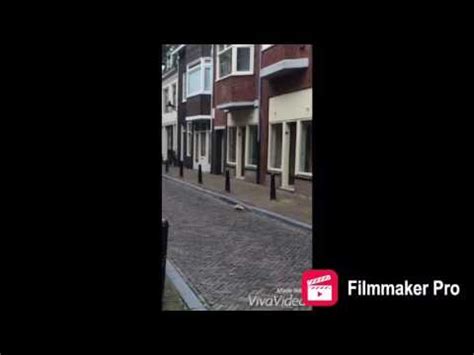 Pitch Beleidsplan Hardebollenstraat YouTube