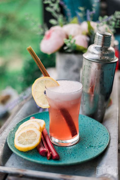 Make A Strawberry Rhubarb Gin Fizz Summer Cocktail The DIY Mommy