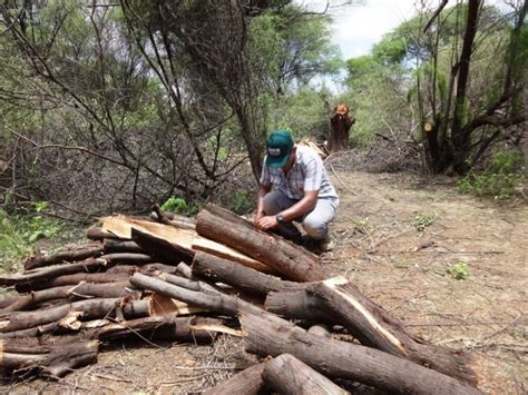 Serfor Exhorta A Piuranos A Conservar La Flora Y Fauna Silvestre