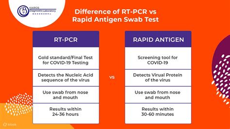 Rt Pcr And Antigen Testing Home And Walk In Service Swab Test Within