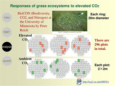 Ppt Molecular Ecological Network Analyses Mena Powerpoint