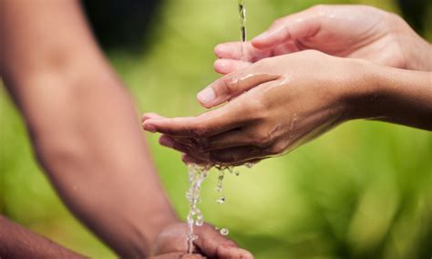 Descubre 11 Formas De Ahorrar Agua Para Ayudar Al Medio Ambiente Y