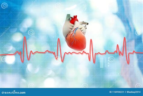 Heartbeat Normal Ecg Graph Stock Photo Cartoondealer