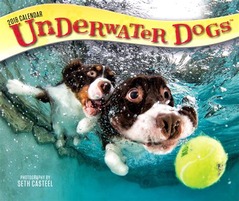 2018 Underwater Dogs Box Calendar Other