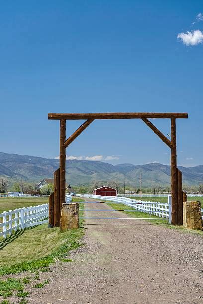 Driveway Arches Stock Photos Pictures And Royalty Free Images Istock