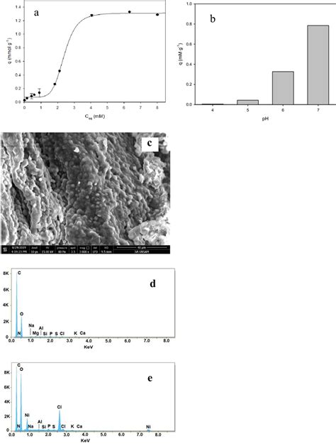 A Ni Ii Adsorption Isotherm By B Braunii Dead Biomass At Ph