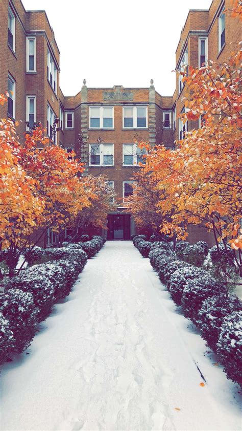 Chicago’s first snowfall. Absolutely stunning. : r/chicago