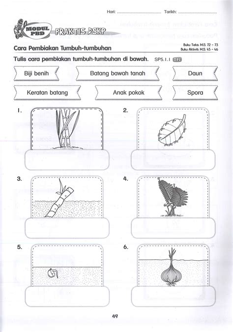 Lembaran Kerja Latihan Sains Tahun 3 Tumbuhan Buku Lati Nbkomputer