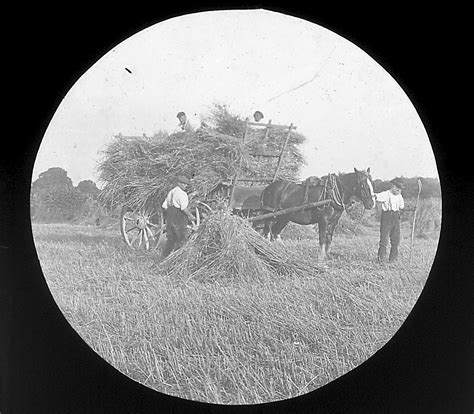 Local Farming Past Present And Future Buriton Heritage