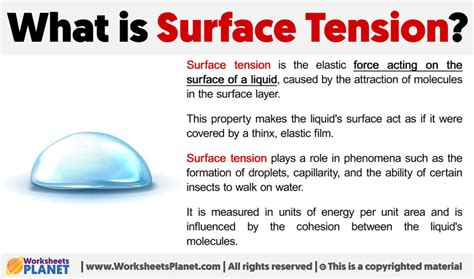 What Is Surface Tension