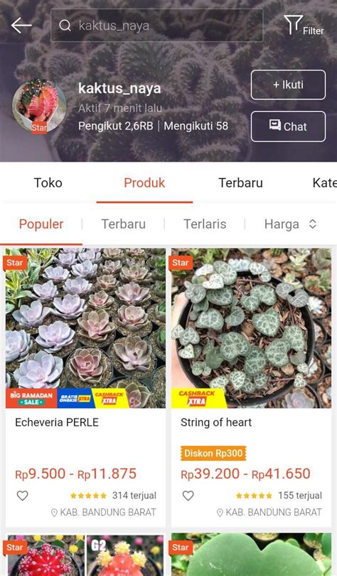 Pin Oleh Racun Belanja Di Rekomendasi Kaktus Sukulen Di Shopee