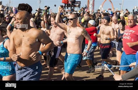 Brooklyn New York Usa St Jan The Coney Island Polar Bear