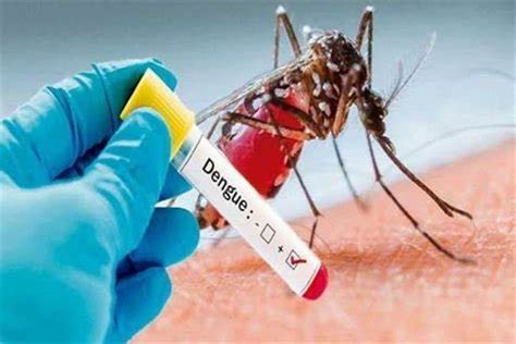 Special On National Dengue Day 16th May डेंगू से होने वाली मृत्यु दर