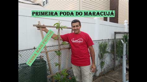 Como Podar o Maracujazeiro Para Produzir Muito 1ª Poda How to Prune