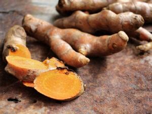 Best Galangal Substitutes To Spice Up Your Cooking