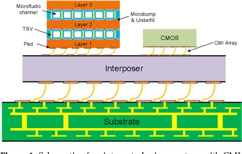 Figure From Multiphysics Analysis And Optimal Design Of Compressible