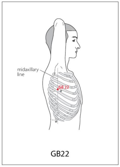 GB 22 Acupuncture Point Acupuncture Point Locations Review