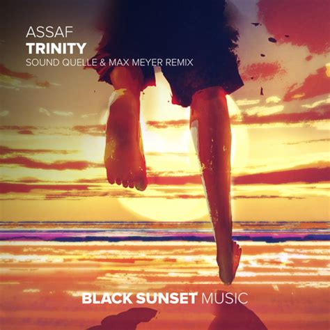 Stream Assaf Trinity Sound Quelle Max Meyer Remix By Assaf