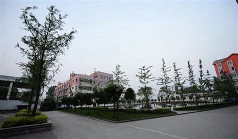 泸州市江南职业中学校是什么类型的学校四川职校资讯招生报考网