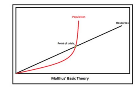 Perbedaan Antara Teori Malthus Dan Boserup Diffexpert