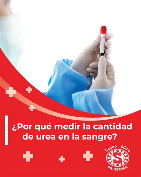 Por qué medir la cantidad de urea en la sangre Centro Médico Dr Serván