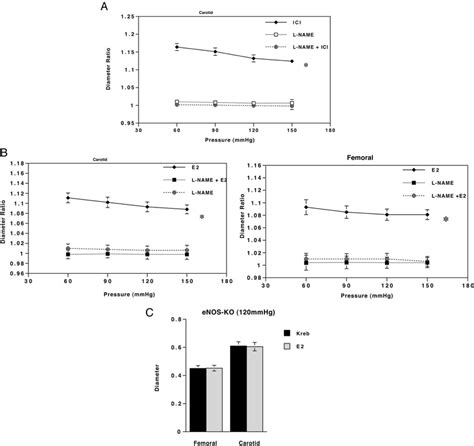 Nitric Oxide Mediates E 2 And Ici182780 Induced Vasodilation A