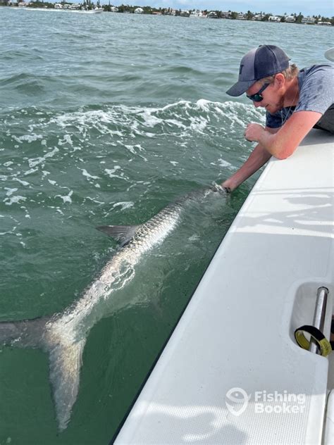 Tarpon Fort Myers Fishing Report FishingBooker